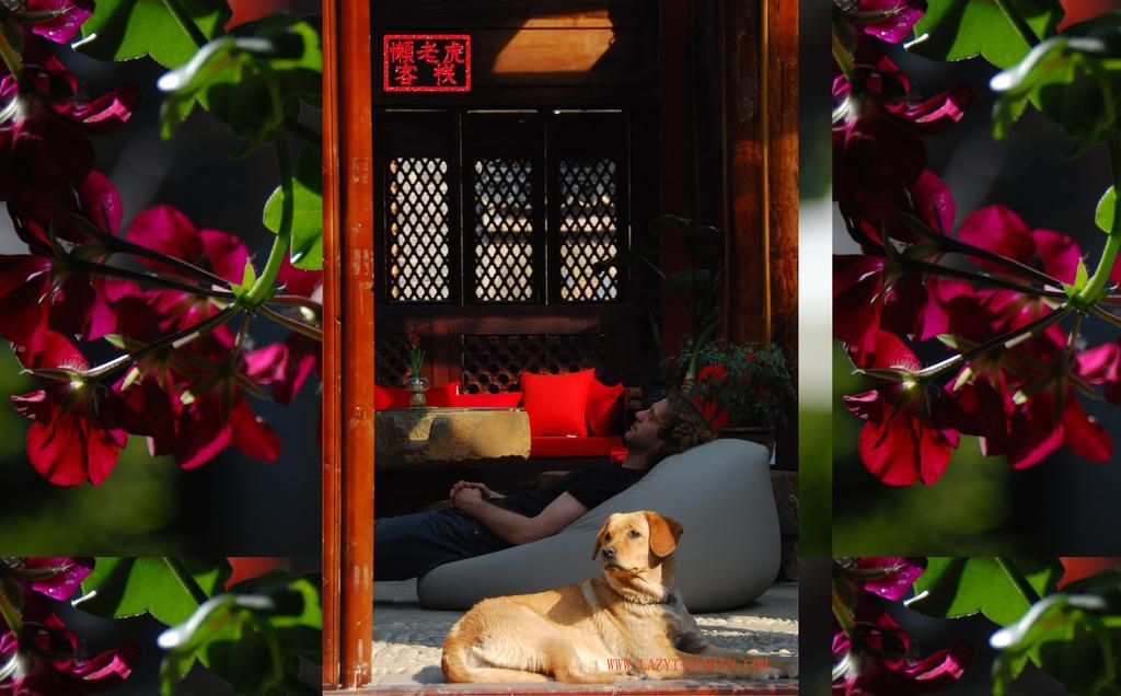 Lazy Tiger Inn 리장 외부 사진